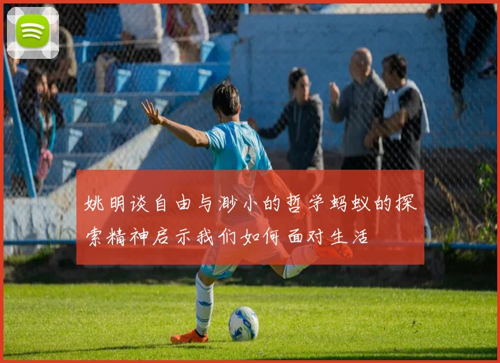姚明谈自由与渺小的哲学蚂蚁的探索精神启示我们如何面对生活