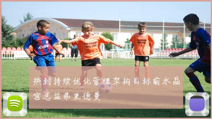 热刺持续优化管理架构目标前水晶宫总监弗里德曼